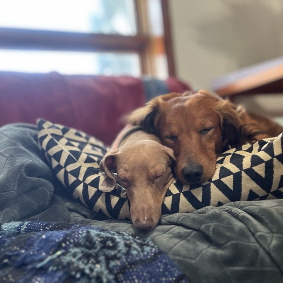 Meet your Posher, Janine - Picture 6 of 7